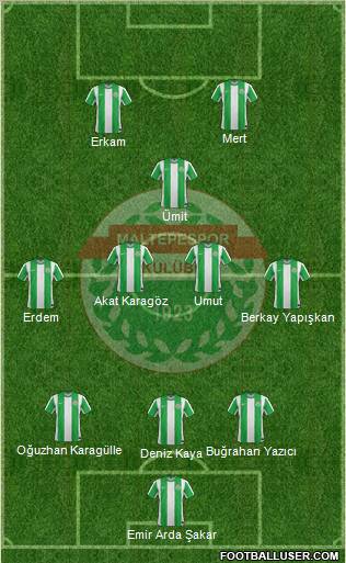 Maltepespor Formation 2012