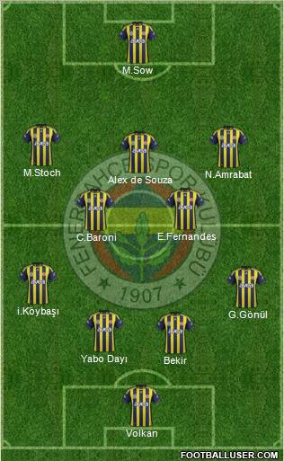 Fenerbahçe SK Formation 2012