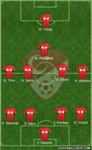 Turkey Formation 2012