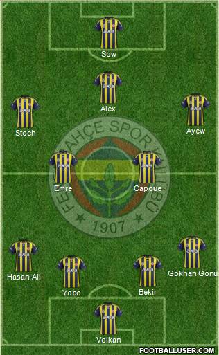 Fenerbahçe SK Formation 2012