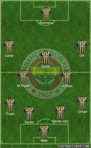 Fenerbahçe SK Formation 2012