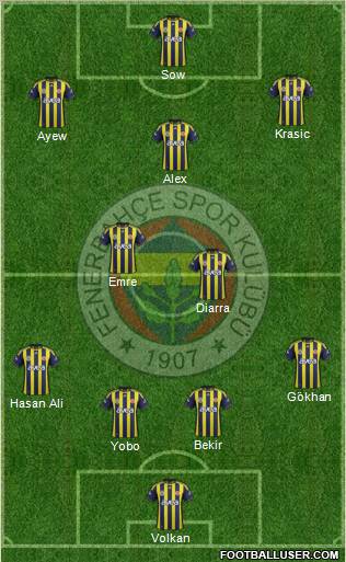 Fenerbahçe SK Formation 2012