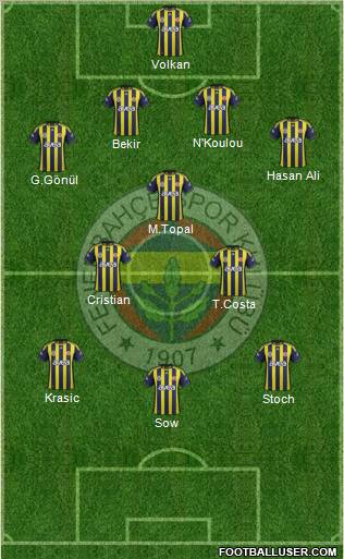 Fenerbahçe SK Formation 2012