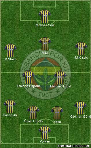 Fenerbahçe SK Formation 2012