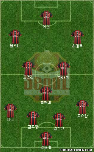 FC Seoul Formation 2012