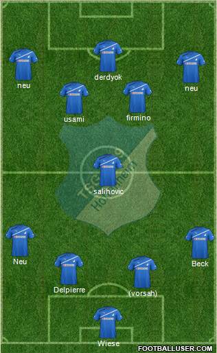 TSG 1899 Hoffenheim Formation 2012