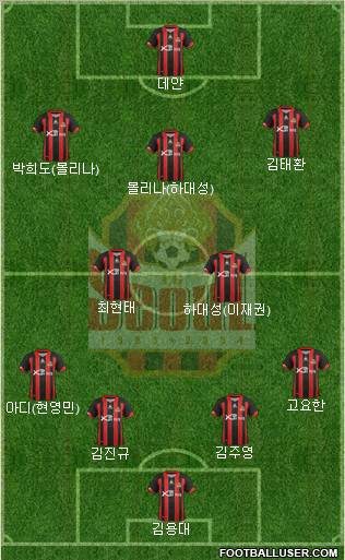 FC Seoul Formation 2012