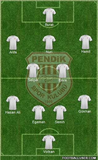 Pendikspor Formation 2012