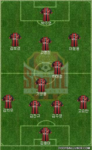 FC Seoul Formation 2012