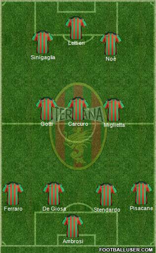 Ternana Formation 2012