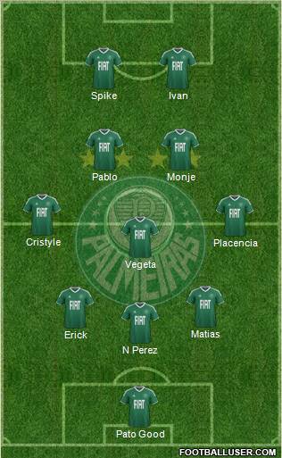 SE Palmeiras Formation 2012