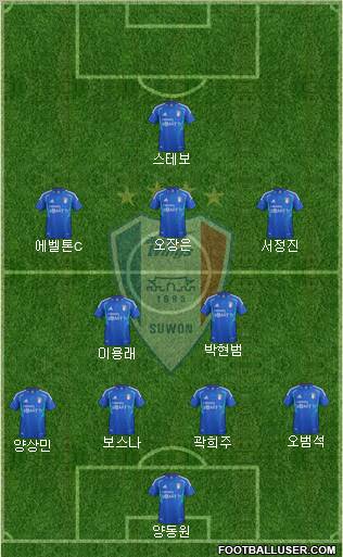 Suwon Samsung Blue Wings Formation 2012