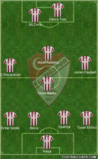 Elazigspor Formation 2012