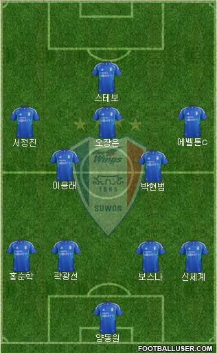 Suwon Samsung Blue Wings Formation 2012