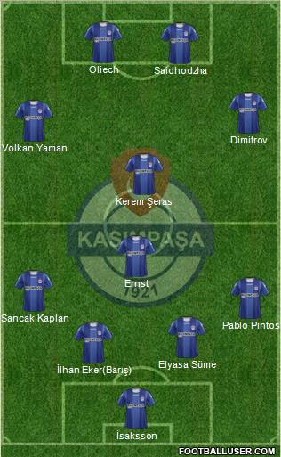 Kasimpasa Formation 2012