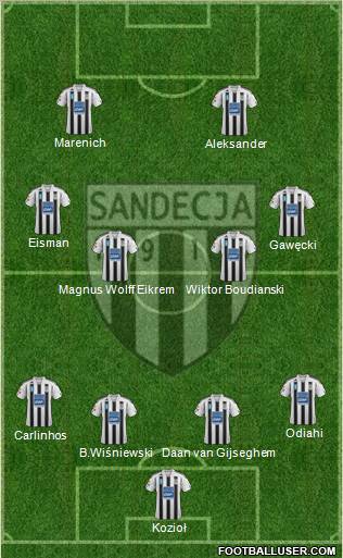 Sandecja Nowy Sacz Formation 2012