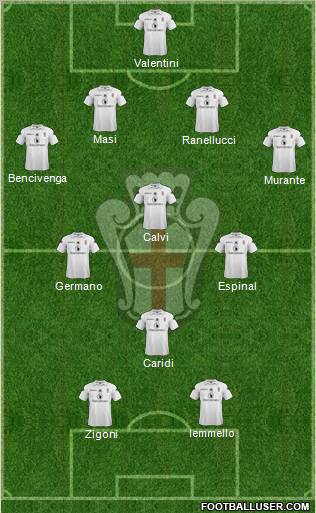 Pro Vercelli Formation 2012