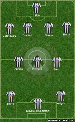 Udinese Formation 2012