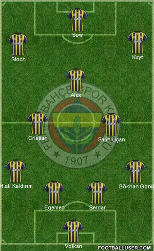 Fenerbahçe SK Formation 2012