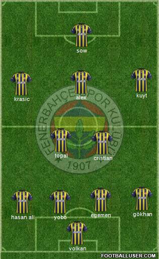 Fenerbahçe SK Formation 2012