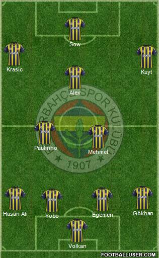 Fenerbahçe SK Formation 2012