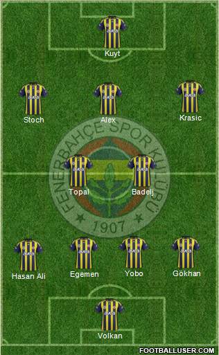 Fenerbahçe SK Formation 2012