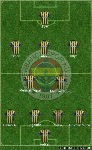 Fenerbahçe SK Formation 2012