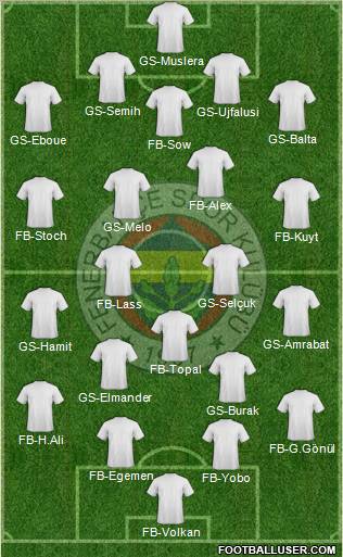 Fenerbahçe SK Formation 2012