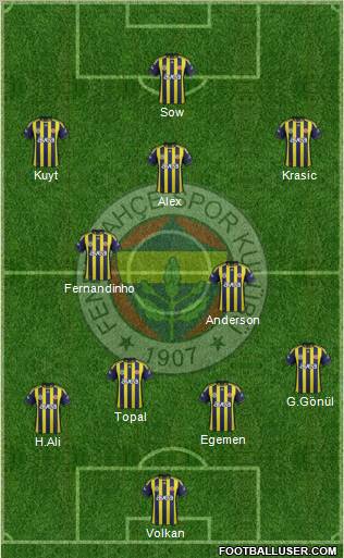 Fenerbahçe SK Formation 2012