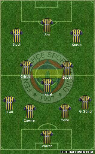 Fenerbahçe SK Formation 2012