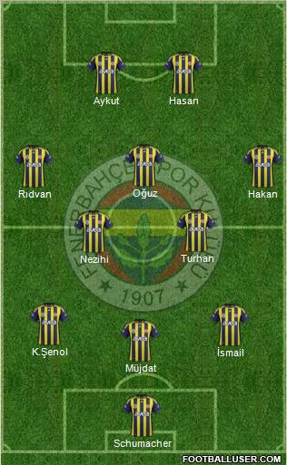 Fenerbahçe SK Formation 2012