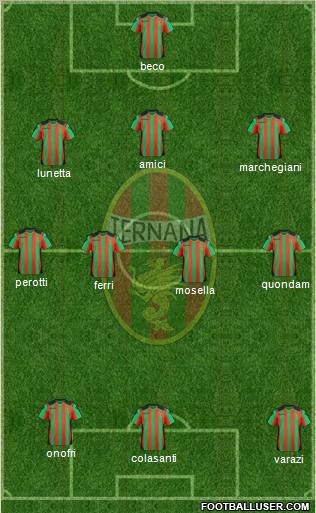 Ternana Formation 2012