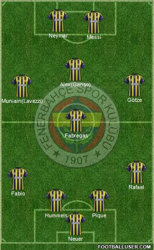 Fenerbahçe SK Formation 2012