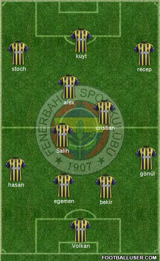 Fenerbahçe SK Formation 2012