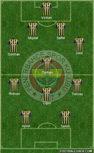 Fenerbahçe SK Formation 2012