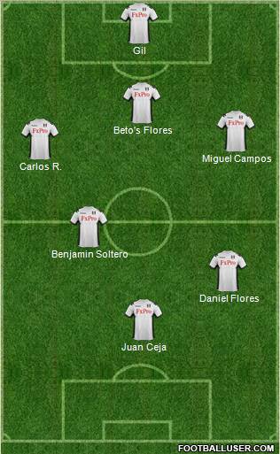 Fulham Formation 2012