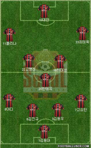 FC Seoul Formation 2012