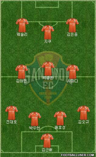 Gangwon FC Formation 2012