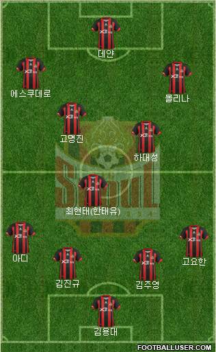 FC Seoul Formation 2012