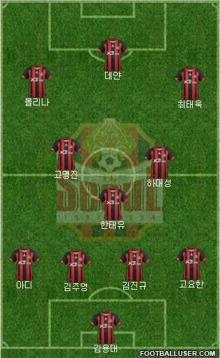 FC Seoul Formation 2012