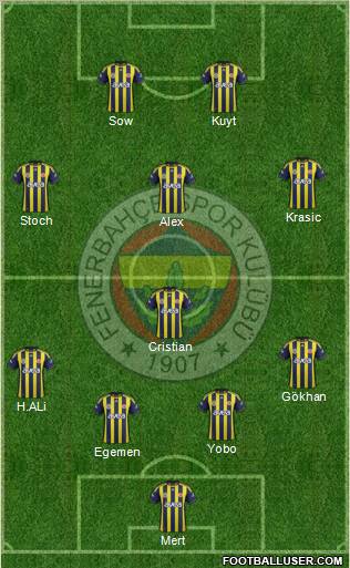 Fenerbahçe SK Formation 2012