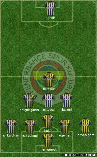 Fenerbahçe SK Formation 2012