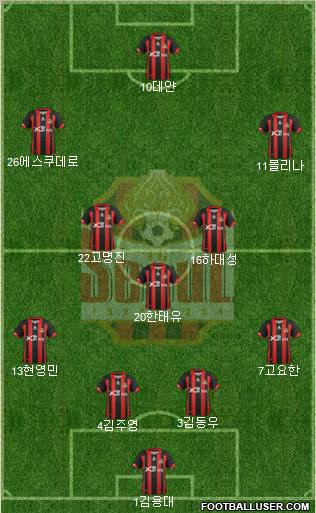 FC Seoul Formation 2012