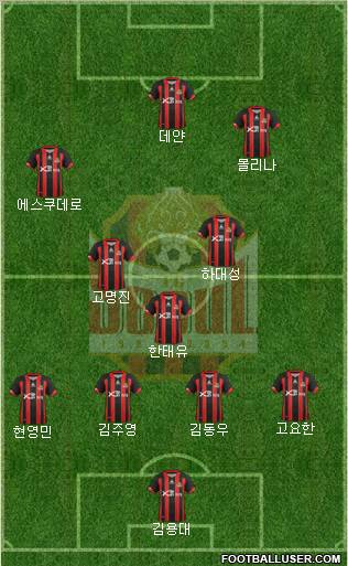 FC Seoul Formation 2012