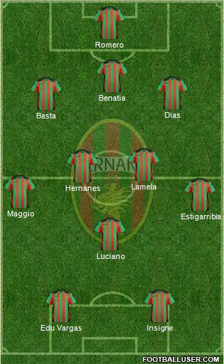 Ternana Formation 2012