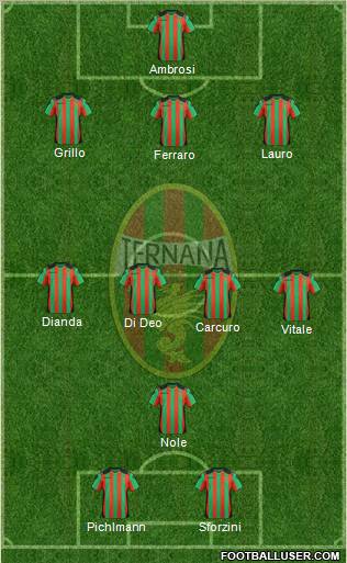 Ternana Formation 2012