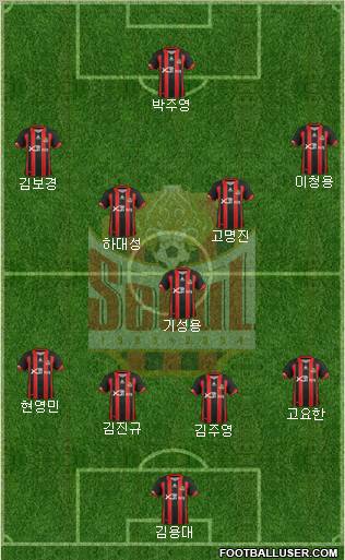 FC Seoul Formation 2012