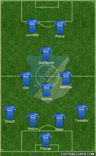 TSG 1899 Hoffenheim Formation 2012