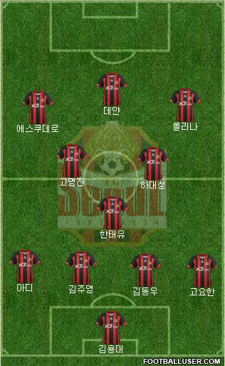 FC Seoul Formation 2012