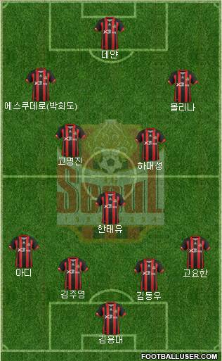 FC Seoul Formation 2012